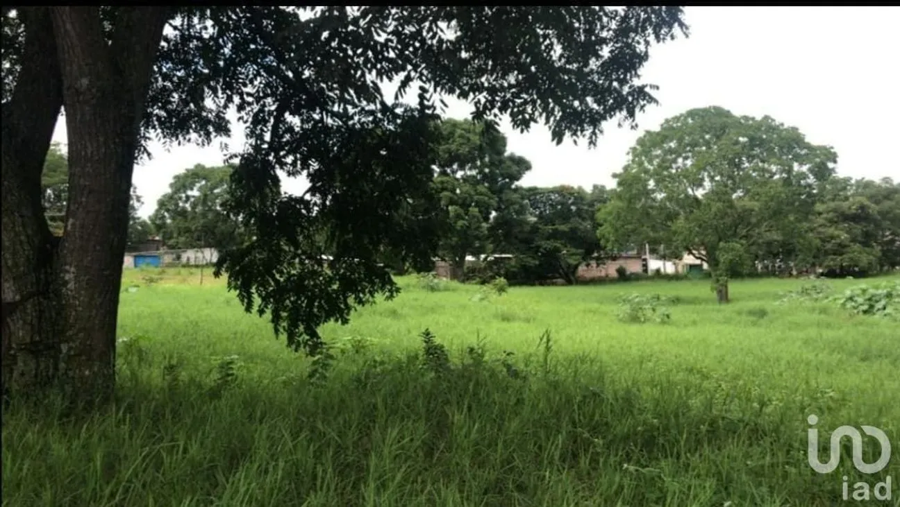 Terreno en Venta en Santa Cruz, Berriozábal, Chiapas | NEX-229675 | iad México | Foto 1 de 12