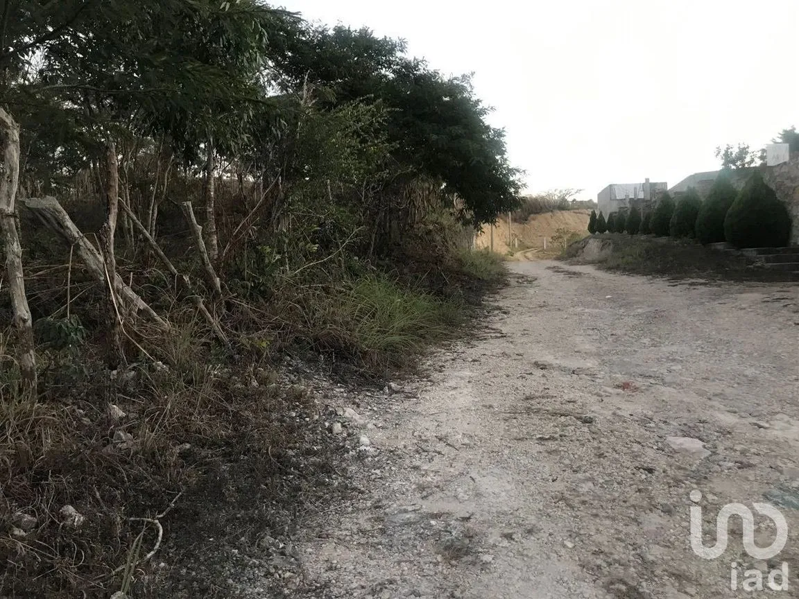 Terreno en Venta en Los Olivos, Tuxtla Gutiérrez, Chiapas | NEX-229688 | iad México | Foto 5 de 9