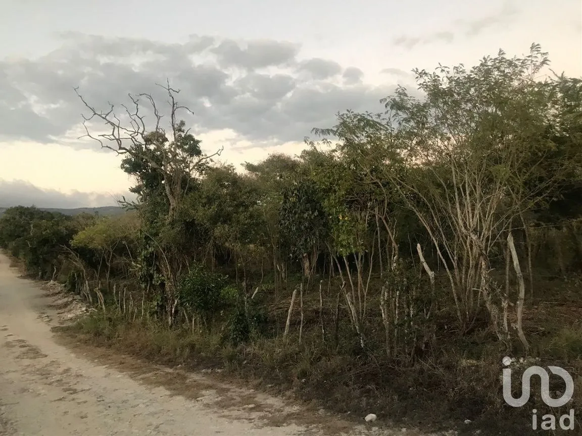 Terreno en Venta en Los Olivos, Tuxtla Gutiérrez, Chiapas | NEX-229688 | iad México | Foto 7 de 9