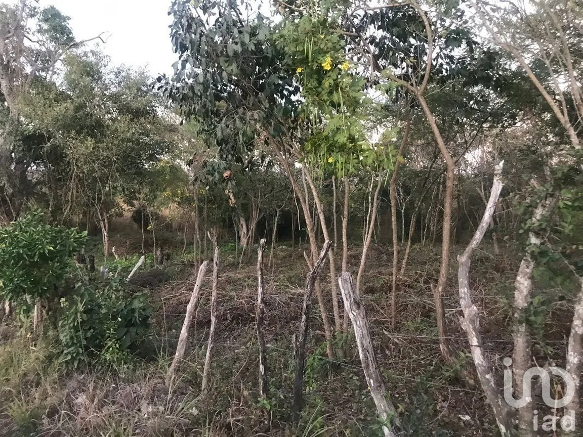 Terreno en Venta en Los Olivos, Tuxtla Gutiérrez, Chiapas | NEX-229688 | iad México | Foto 8 de 9