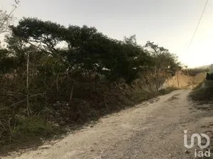 NEX-229688 - Terreno en Venta en Los Olivos, CP 29090, Chiapas.