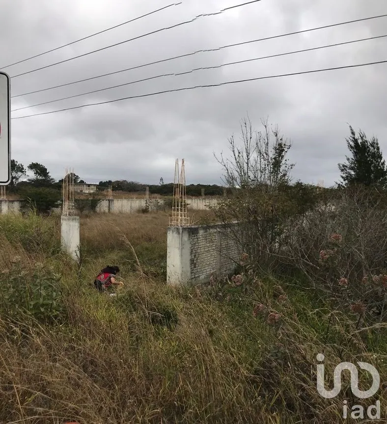 Terreno en Venta en Chichima Guadalupe, Comitán de Domínguez, Chiapas | NEX-229691 | iad México | Foto 4 de 6