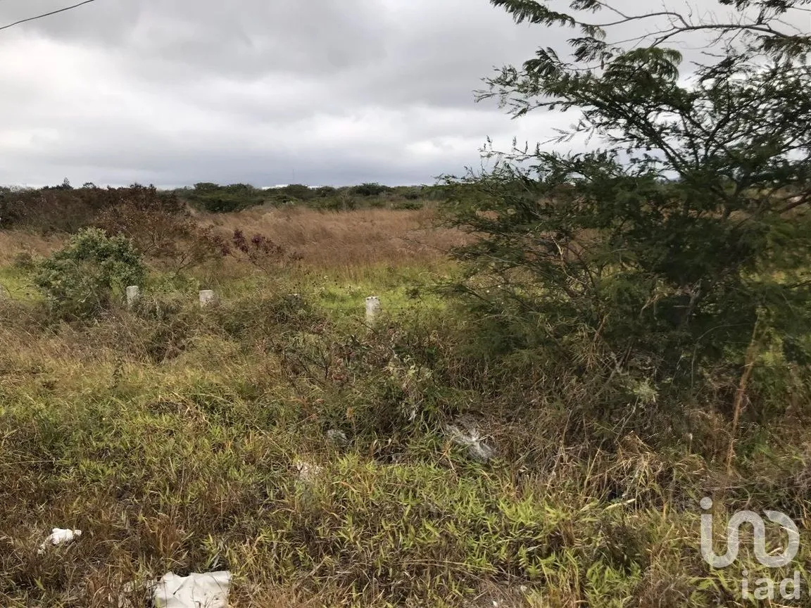Terreno en Venta en Chichima Guadalupe, Comitán de Domínguez, Chiapas | NEX-229692 | iad México | Foto 4 de 9