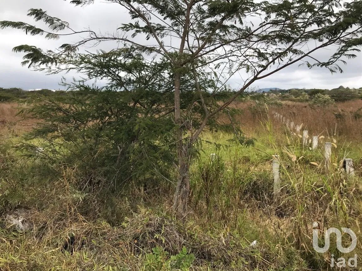 Terreno en Venta en Chichima Guadalupe, Comitán de Domínguez, Chiapas | NEX-229692 | iad México | Foto 7 de 9