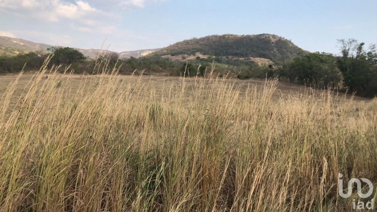 Terreno en Venta en Zocotumbak, Tuxtla Gutiérrez, Chiapas | NEX-229693 | iad México | Foto 2 de 10