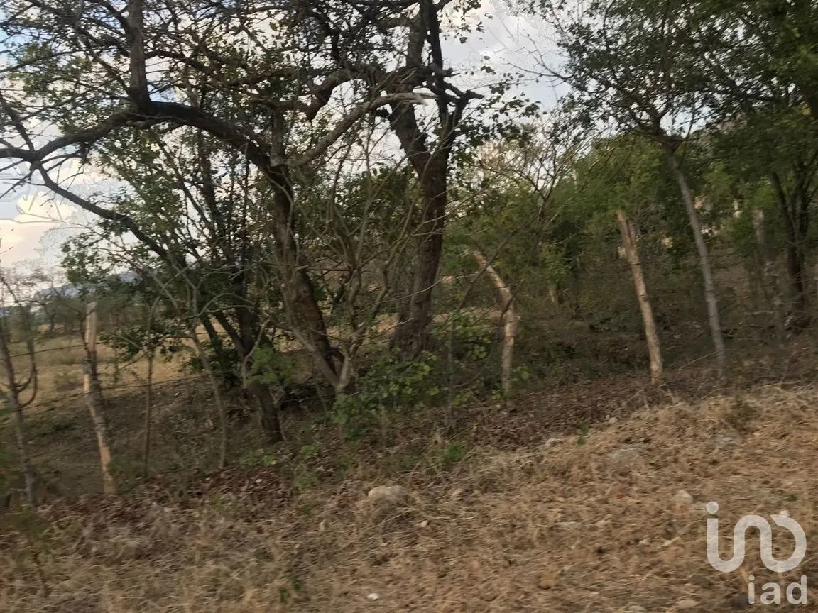Terreno en Venta en Zocotumbak, Tuxtla Gutiérrez, Chiapas | NEX-229693 | iad México | Foto 4 de 10
