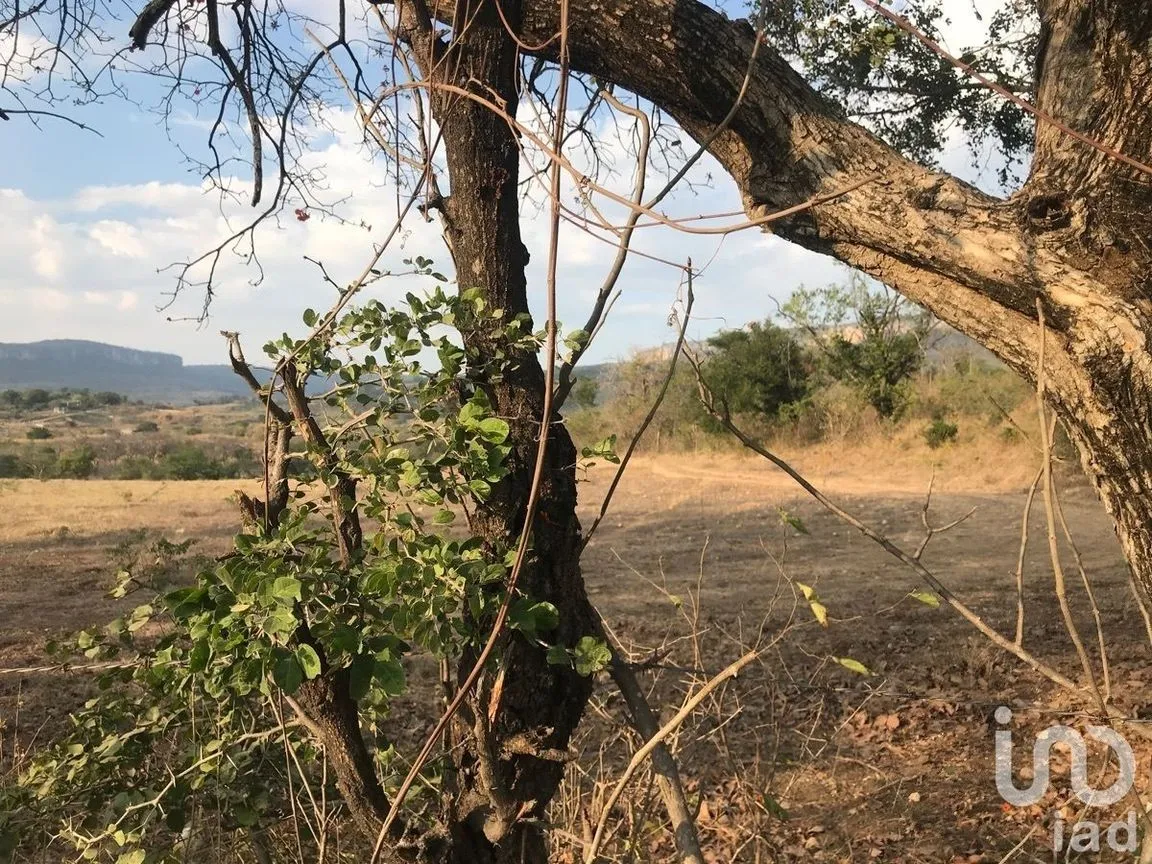 Terreno en Venta en Zocotumbak, Tuxtla Gutiérrez, Chiapas | NEX-229693 | iad México | Foto 7 de 10
