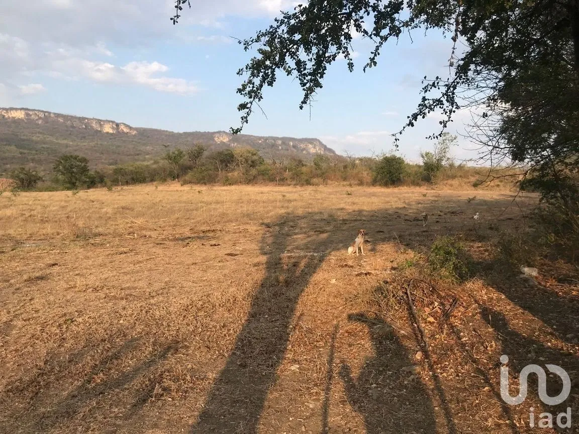 Terreno en Venta en Zocotumbak, Tuxtla Gutiérrez, Chiapas | NEX-229693 | iad México | Foto 9 de 10