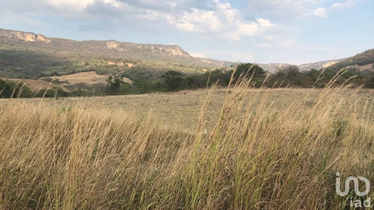 Terreno en Venta en Zocotumbak, Tuxtla Gutiérrez, Chiapas | NEX-229693 | iad México | Foto 1 de 10