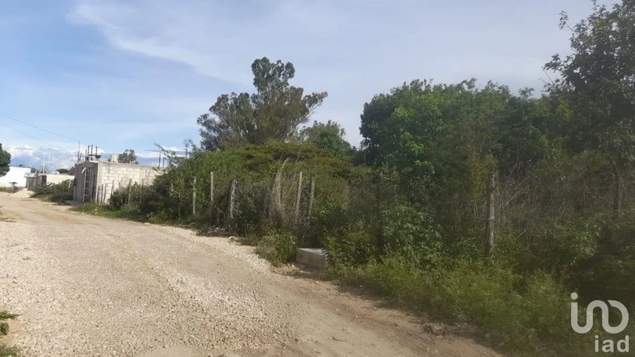 Terreno en Venta en Miguel Alemán, Comitán de Domínguez, Chiapas | NEX-229700 | iad México | Foto 3 de 6