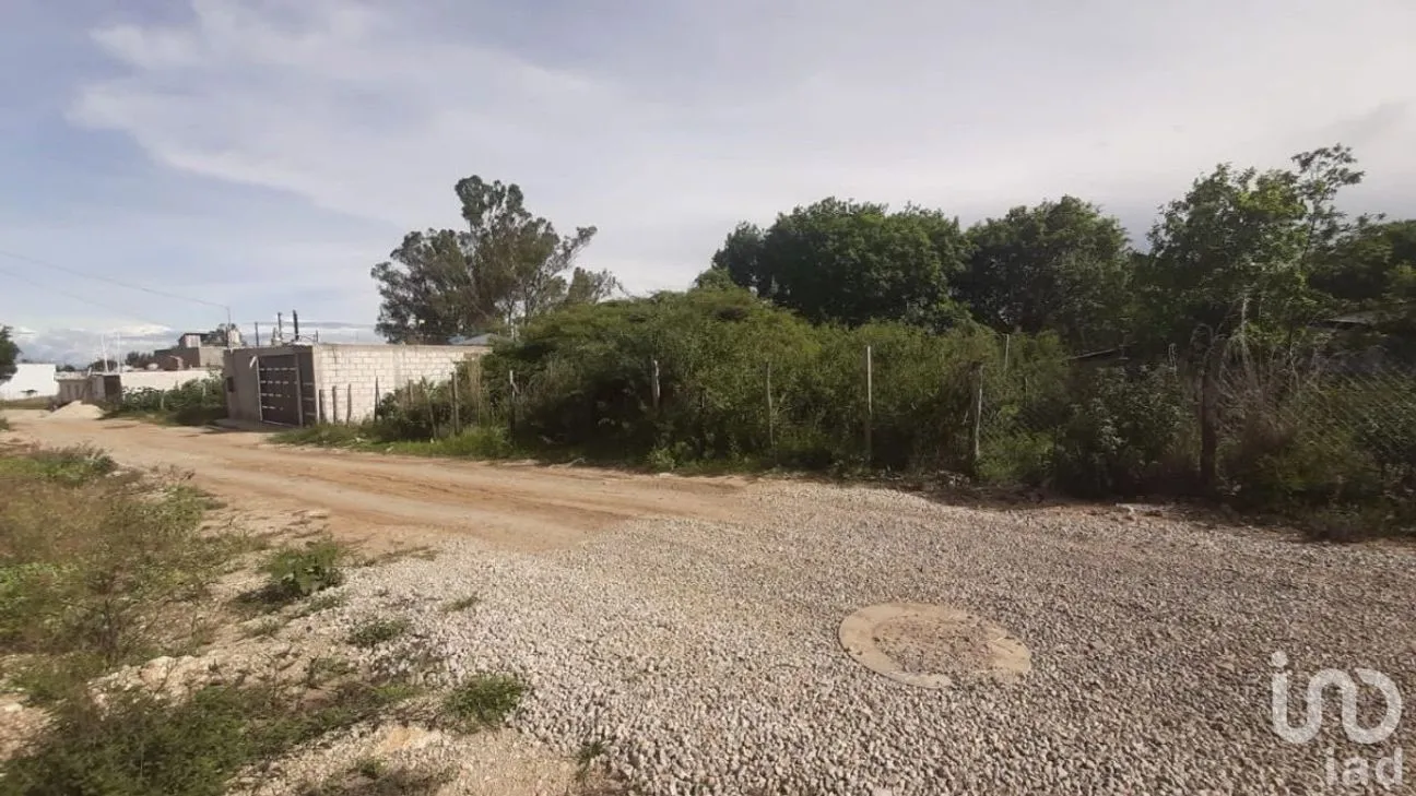 Terreno en Venta en Miguel Alemán, Comitán de Domínguez, Chiapas | NEX-229700 | iad México | Foto 4 de 6