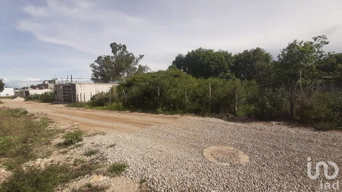 Terreno en Venta en Miguel Alemán, Comitán de Domínguez, Chiapas | NEX-229700 | iad México | Foto 5 de 6