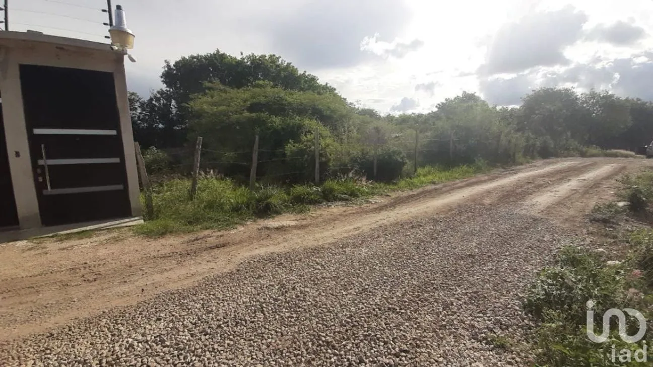Terreno en Venta en Miguel Alemán, Comitán de Domínguez, Chiapas | NEX-229700 | iad México | Foto 6 de 6