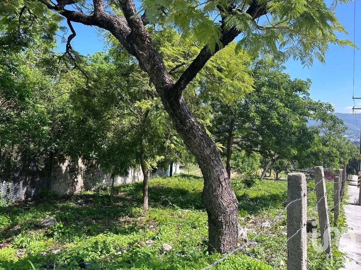 Terreno en Venta en Terán, Tuxtla Gutiérrez, Chiapas | NEX-229704 | iad México | Foto 6 de 10