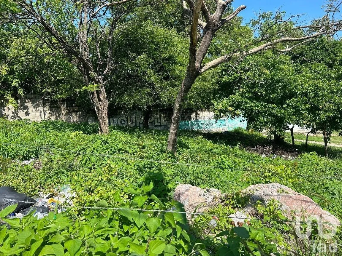 Terreno en Venta en Terán, Tuxtla Gutiérrez, Chiapas | NEX-229704 | iad México | Foto 8 de 10