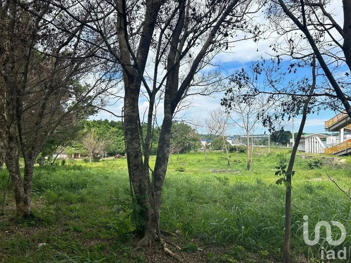 Terreno en Venta en San Marcos, Berriozábal, Chiapas | NEX-229706 | iad México | Foto 2 de 31