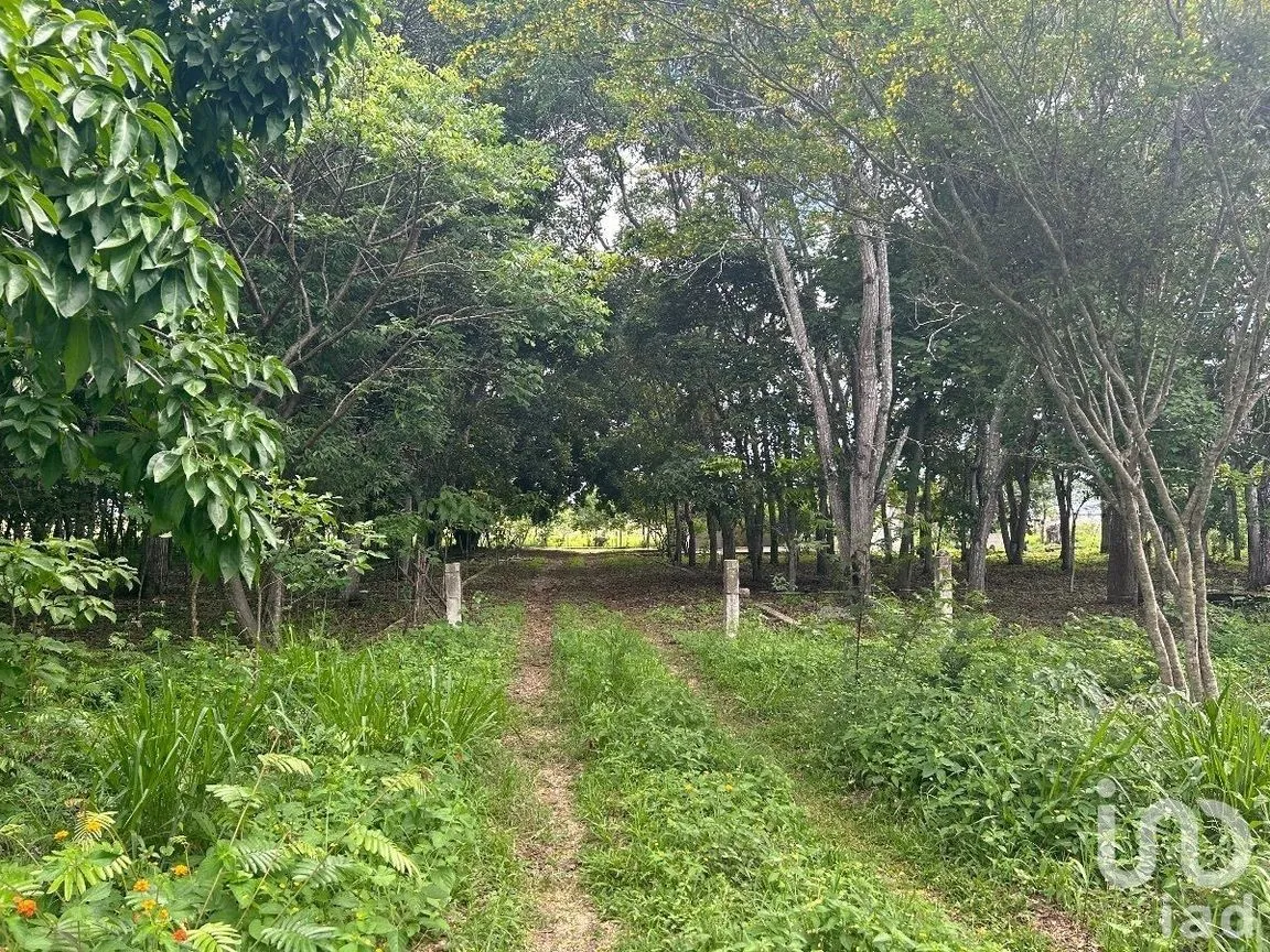 Terreno en Venta en San Marcos, Berriozábal, Chiapas | NEX-229706 | iad México | Foto 11 de 31