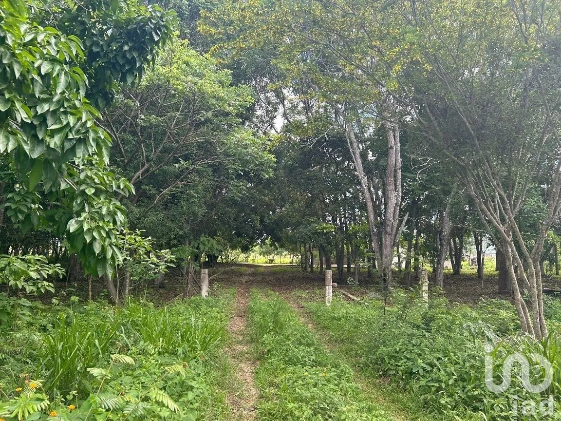 Terreno en Venta en San Marcos, Berriozábal, Chiapas | NEX-229706 | iad México | Foto 15 de 31