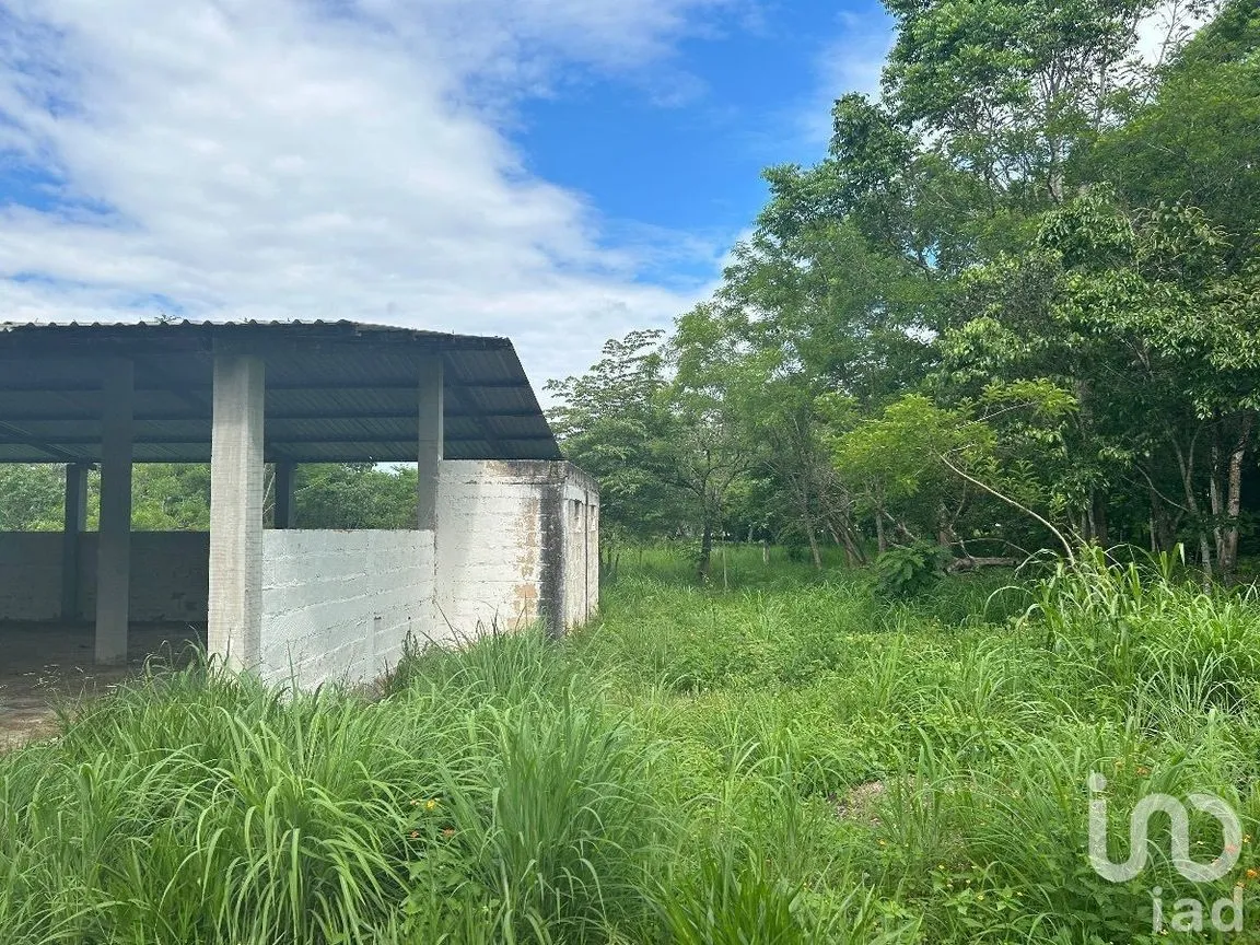 Terreno en Venta en San Marcos, Berriozábal, Chiapas | NEX-229706 | iad México | Foto 17 de 31