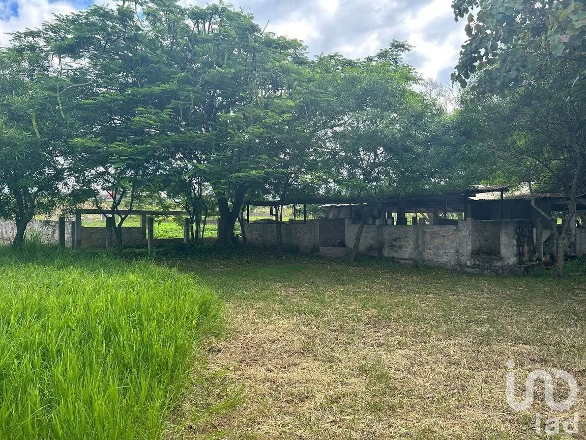Terreno en Venta en San Marcos, Berriozábal, Chiapas | NEX-229706 | iad México | Foto 18 de 31