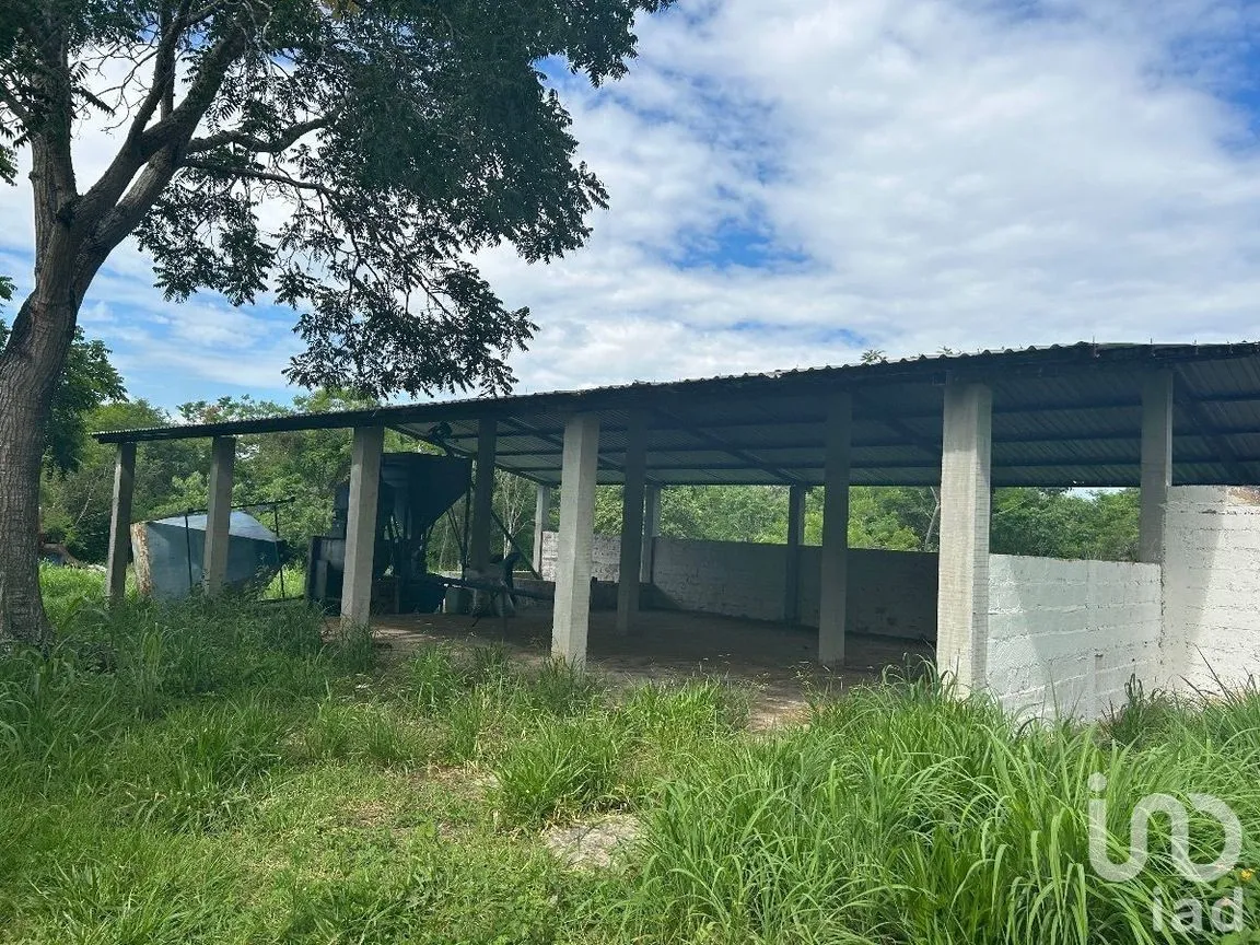 Terreno en Venta en San Marcos, Berriozábal, Chiapas | NEX-229706 | iad México | Foto 19 de 31