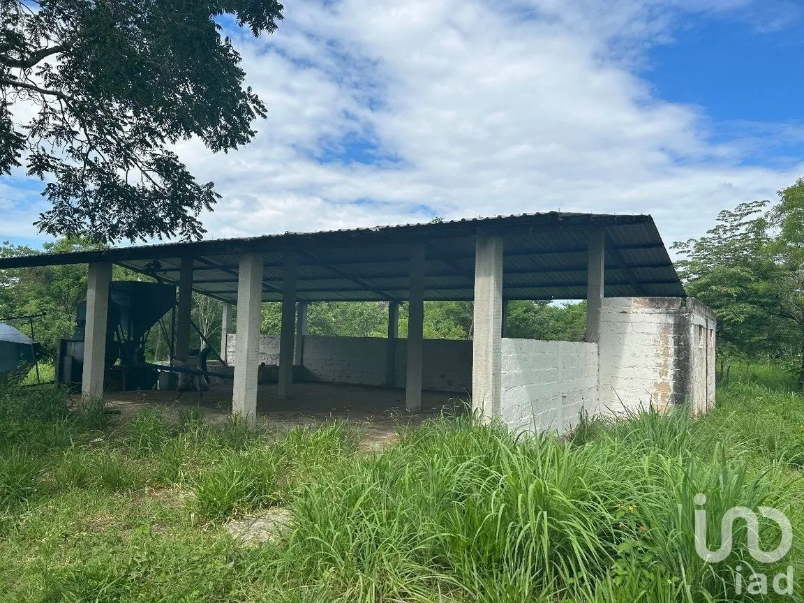 Terreno en Venta en San Marcos, Berriozábal, Chiapas | NEX-229706 | iad México | Foto 20 de 31