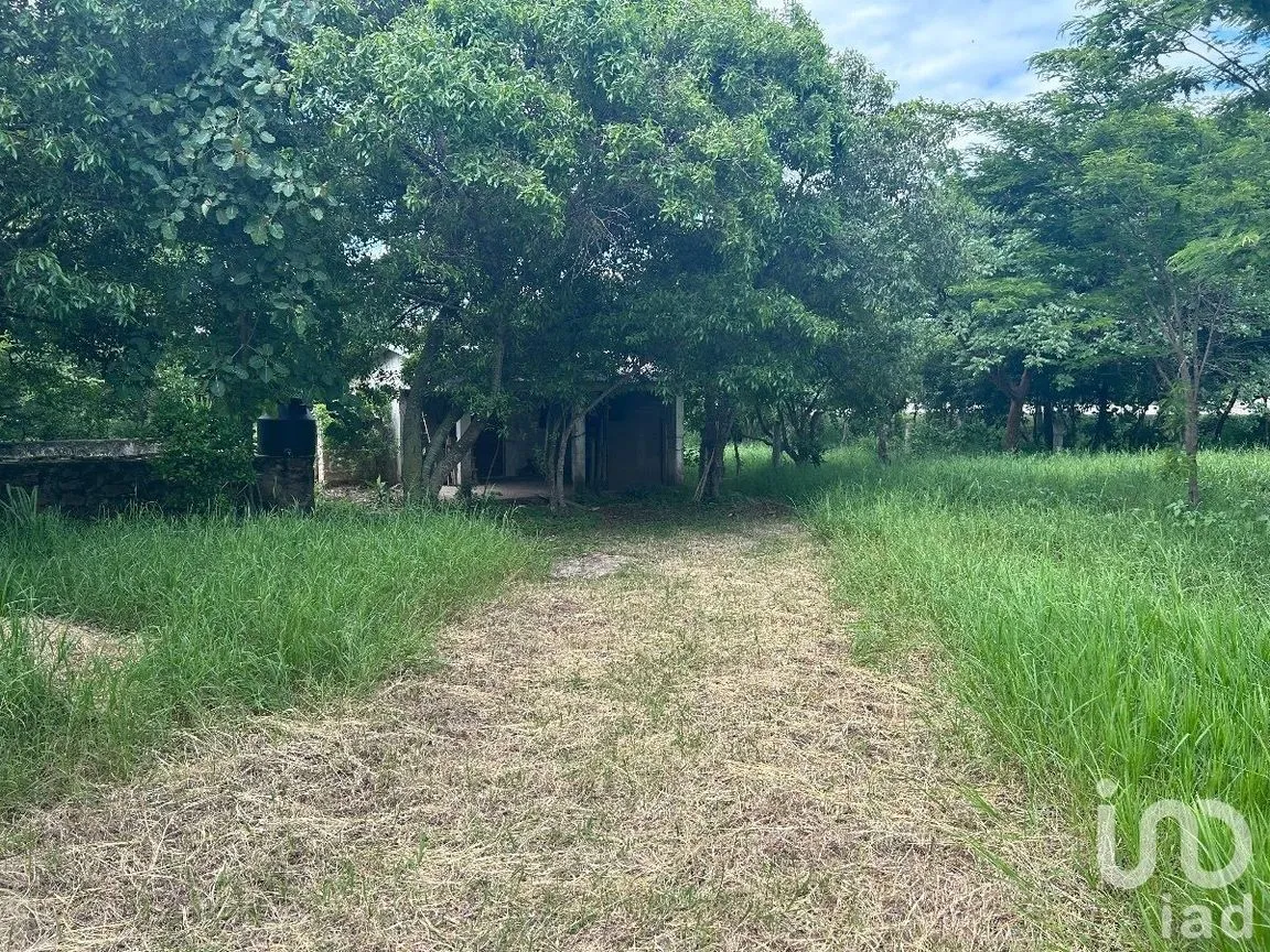 Terreno en Venta en San Marcos, Berriozábal, Chiapas | NEX-229706 | iad México | Foto 21 de 31