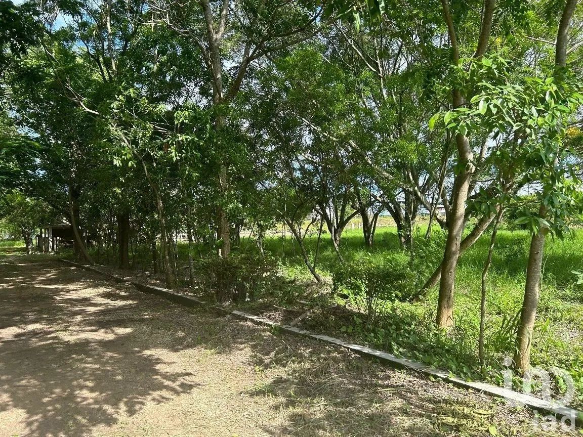 Terreno en Venta en San Marcos, Berriozábal, Chiapas | NEX-229706 | iad México | Foto 23 de 31
