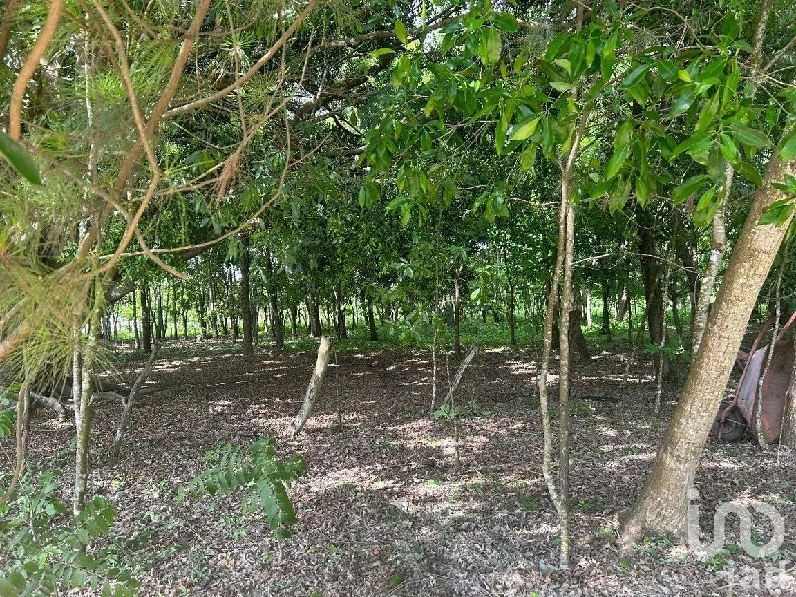 Terreno en Venta en San Marcos, Berriozábal, Chiapas | NEX-229706 | iad México | Foto 24 de 31
