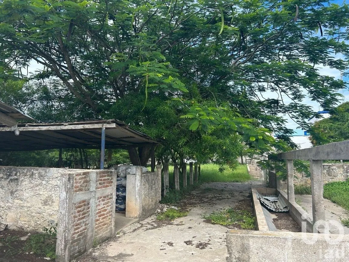 Terreno en Venta en San Marcos, Berriozábal, Chiapas | NEX-229706 | iad México | Foto 25 de 31