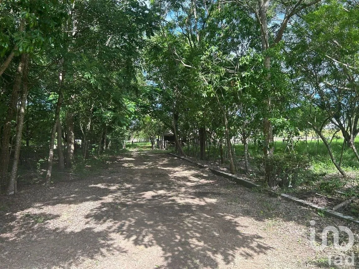 Terreno en Venta en San Marcos, Berriozábal, Chiapas | NEX-229706 | iad México | Foto 27 de 31