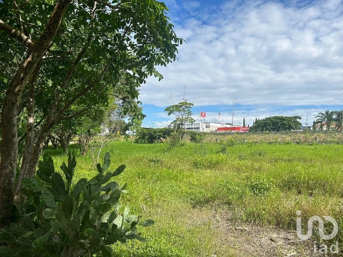 Terreno en Venta en San Marcos, Berriozábal, Chiapas | NEX-229706 | iad México | Foto 28 de 31