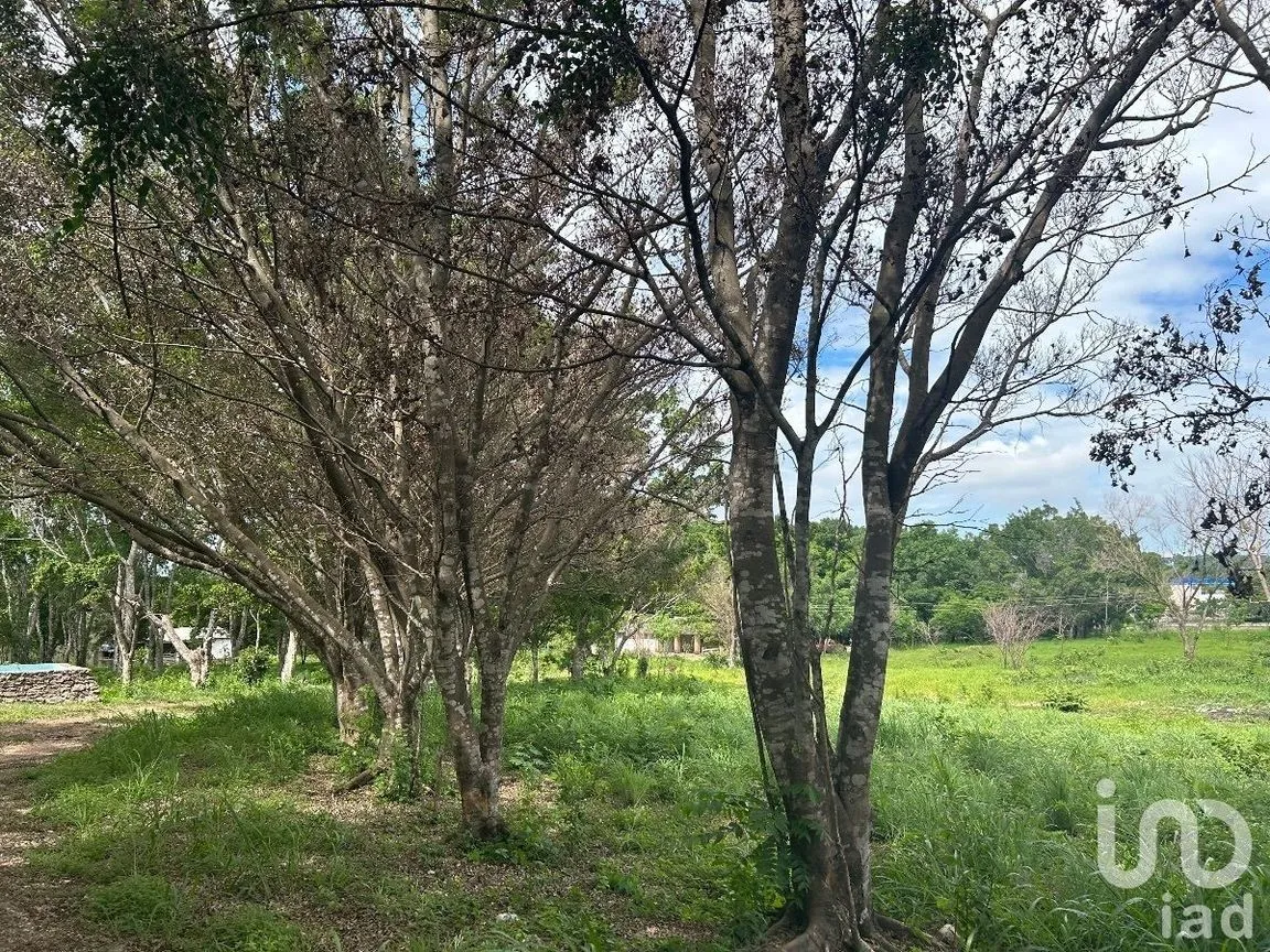 Terreno en Venta en San Marcos, Berriozábal, Chiapas | NEX-229706 | iad México | Foto 4 de 31