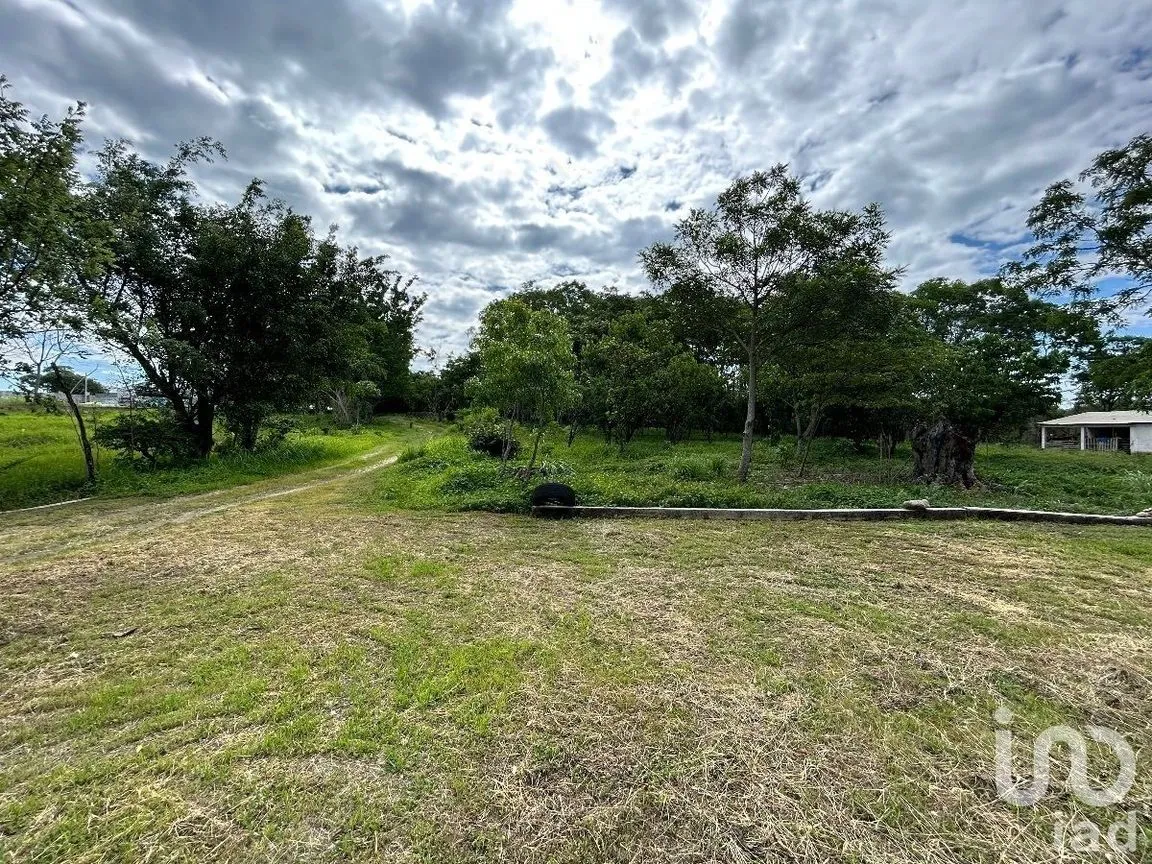Terreno en Venta en San Marcos, Berriozábal, Chiapas | NEX-229706 | iad México | Foto 6 de 31