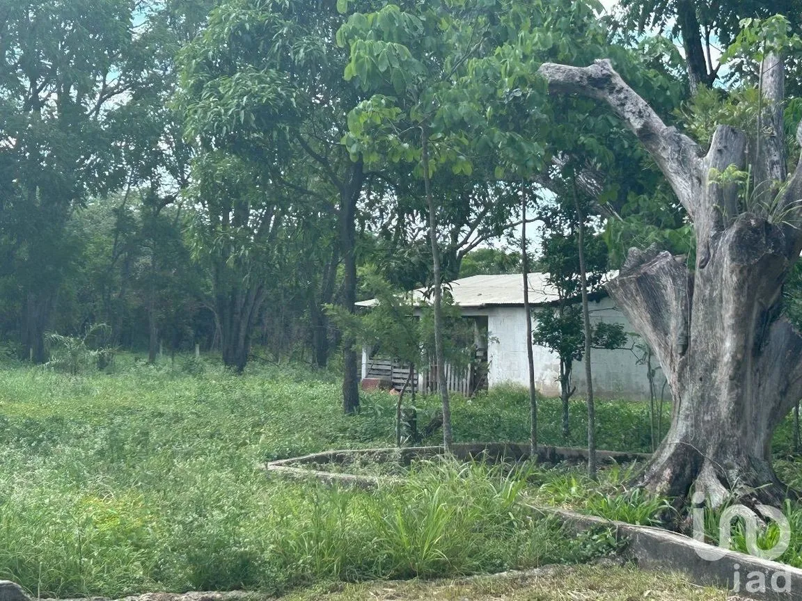 Terreno en Venta en San Marcos, Berriozábal, Chiapas | NEX-229706 | iad México | Foto 7 de 31