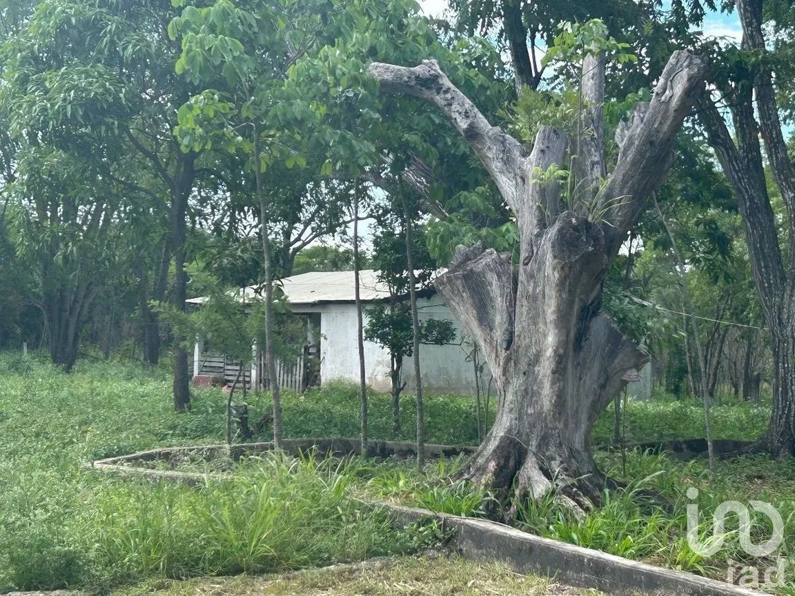 Terreno en Venta en San Marcos, Berriozábal, Chiapas | NEX-229706 | iad México | Foto 8 de 31