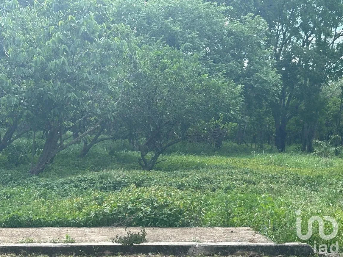 Terreno en Venta en San Marcos, Berriozábal, Chiapas | NEX-229706 | iad México | Foto 9 de 31