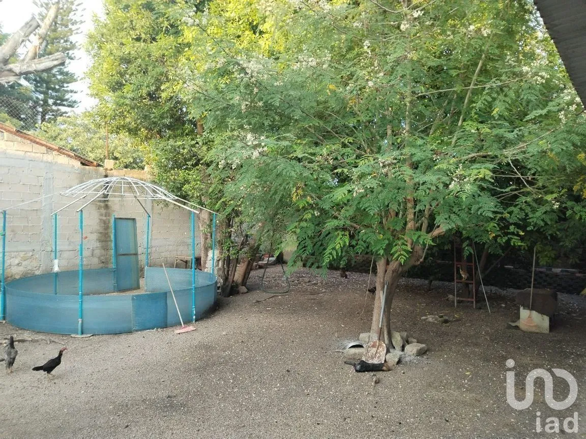 Casa en Venta en Plan de Ayala, Tuxtla Gutiérrez, Chiapas | NEX-229710 | iad México | Foto 12 de 12