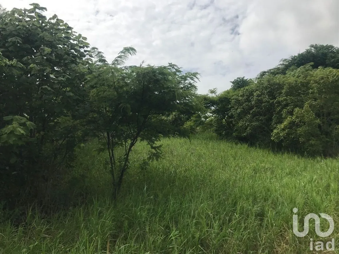Terreno en Venta en El Palmar, Berriozábal, Chiapas | NEX-229716 | iad México | Foto 4 de 5