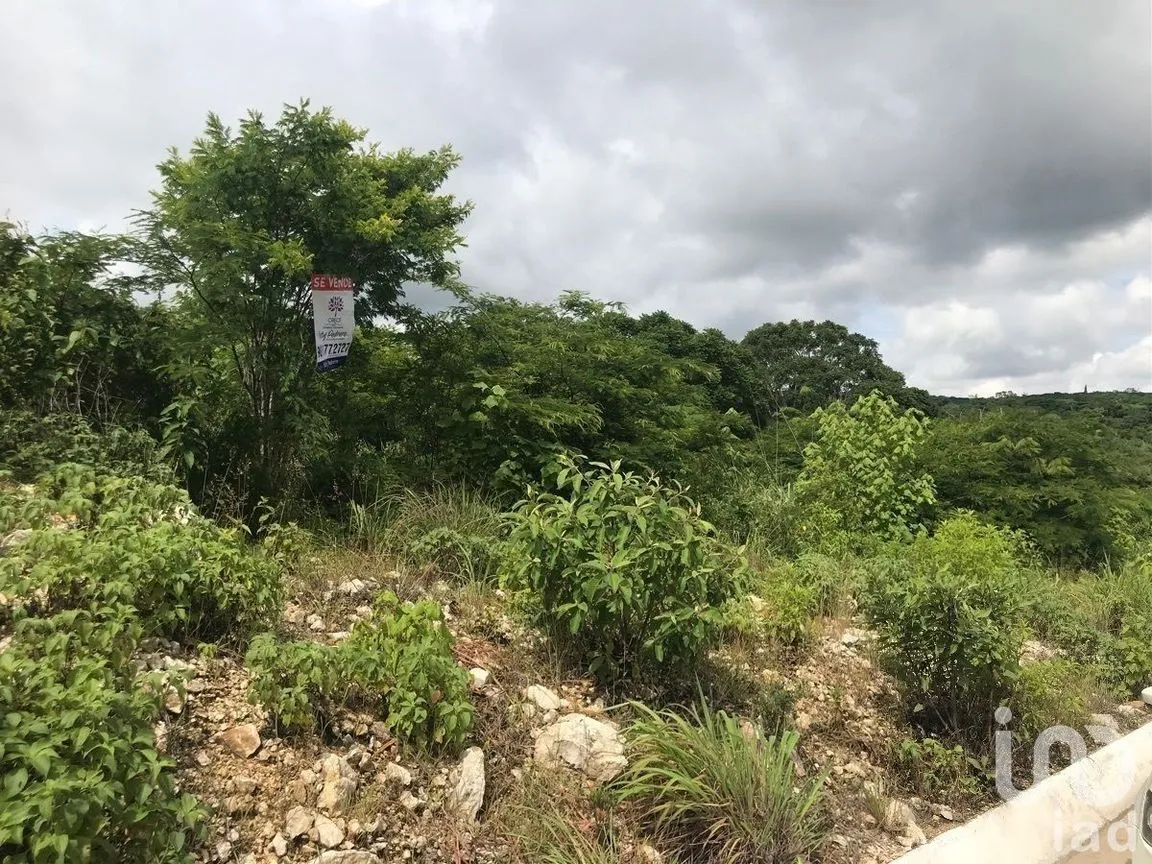 Terreno en Venta en El Palmar, Berriozábal, Chiapas | NEX-229716 | iad México | Foto 5 de 5