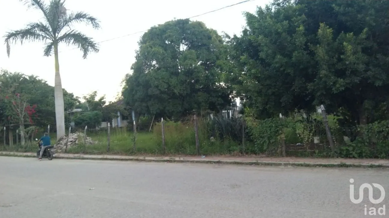 Terreno en Venta en Villa Satélite, Ocosingo, Chiapas | NEX-229717 | iad México | Foto 2 de 8