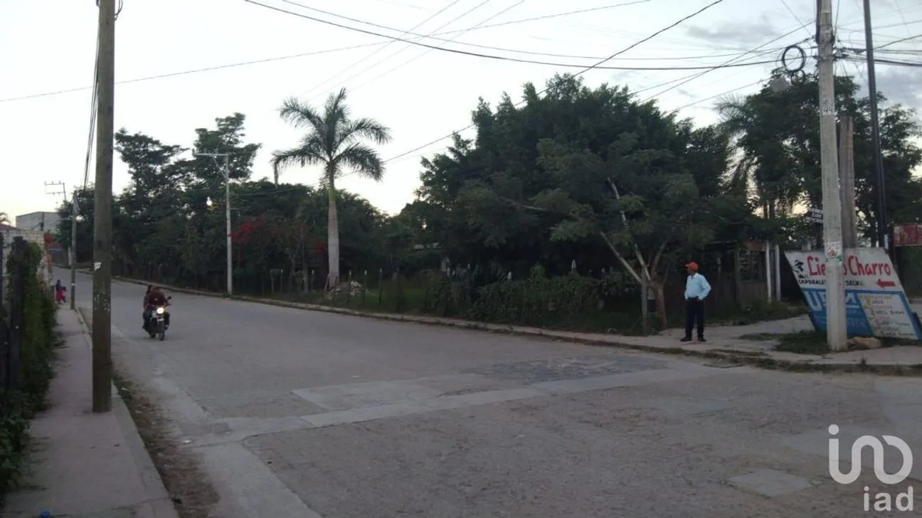 Terreno en Venta en Villa Satélite, Ocosingo, Chiapas | NEX-229717 | iad México | Foto 4 de 8