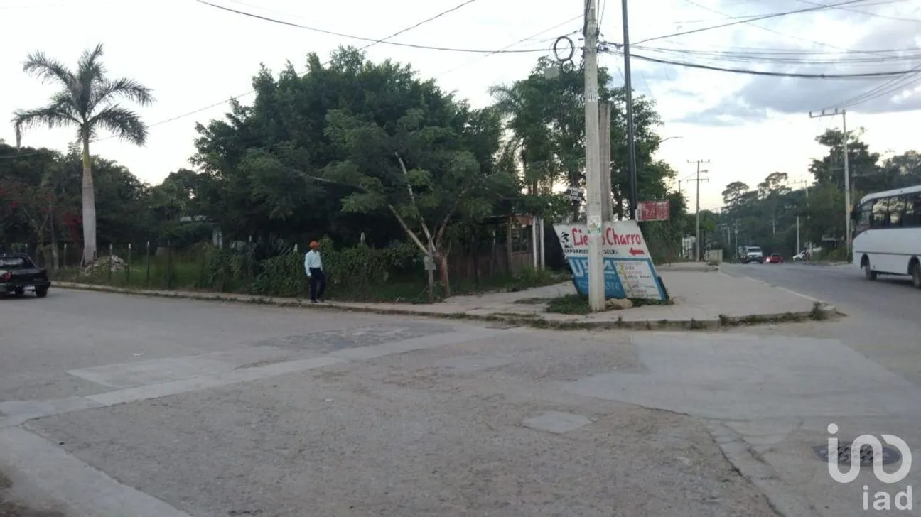 Terreno en Venta en Villa Satélite, Ocosingo, Chiapas | NEX-229717 | iad México | Foto 5 de 8