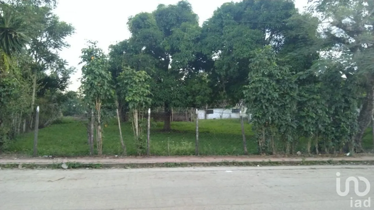 Terreno en Venta en Villa Satélite, Ocosingo, Chiapas | NEX-229717 | iad México | Foto 1 de 8
