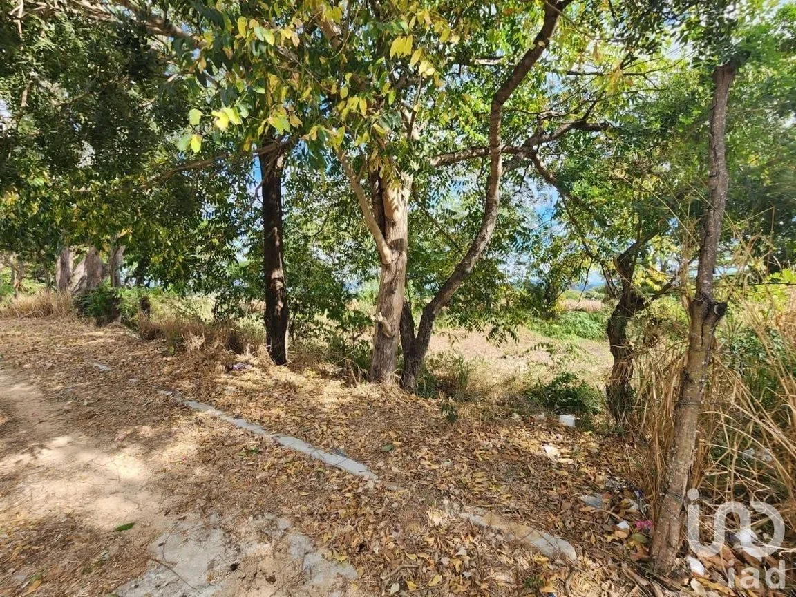 Terreno en Venta en La Popular, Villaflores, Chiapas | NEX-229720 | iad México | Foto 12 de 13
