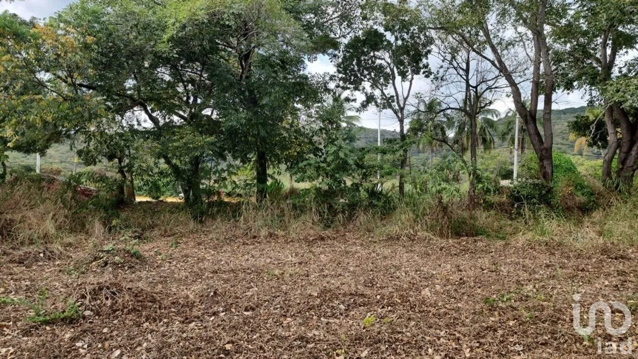 Terreno en Venta en La Popular, Villaflores, Chiapas | NEX-229720 | iad México | Foto 13 de 13