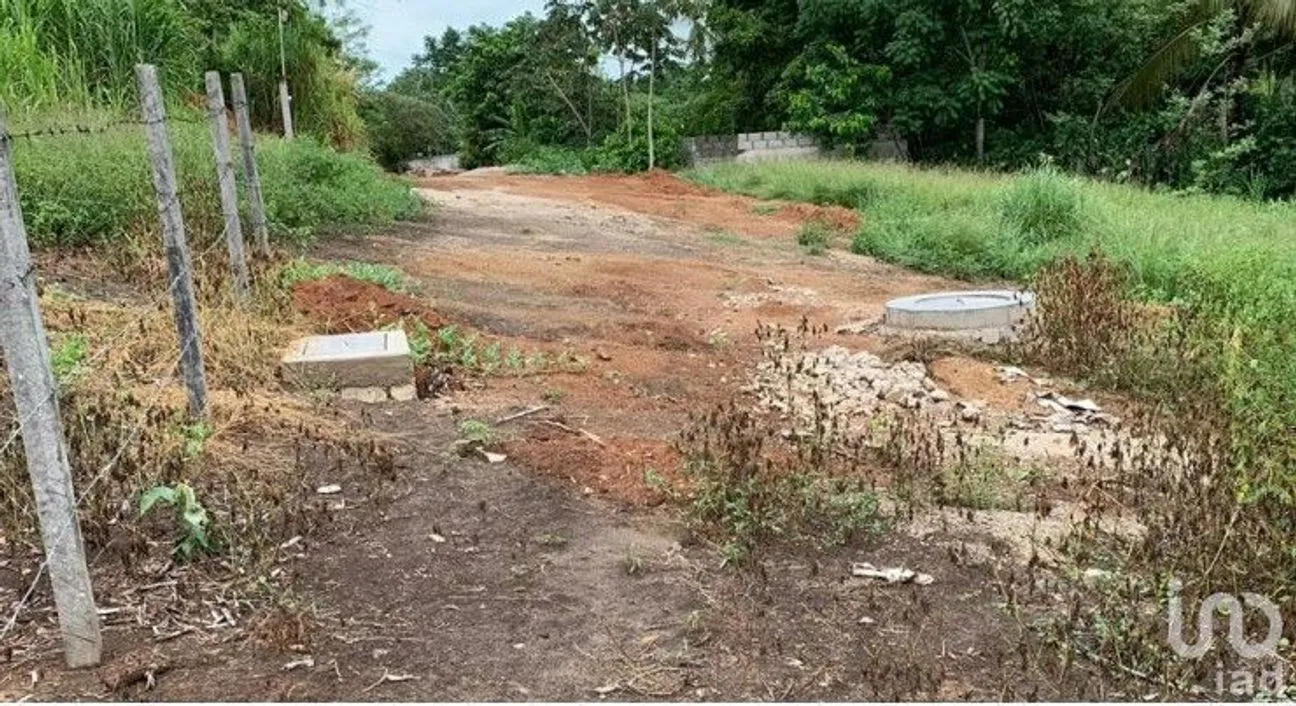 Terreno en Venta en Lomas de Pakal 1 y 2, Palenque, Chiapas | NEX-229727 | iad México | Foto 4 de 5