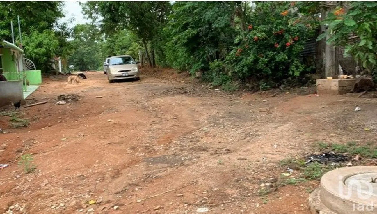 Terreno en Venta en Lomas de Pakal 1 y 2, Palenque, Chiapas | NEX-229727 | iad México | Foto 5 de 5