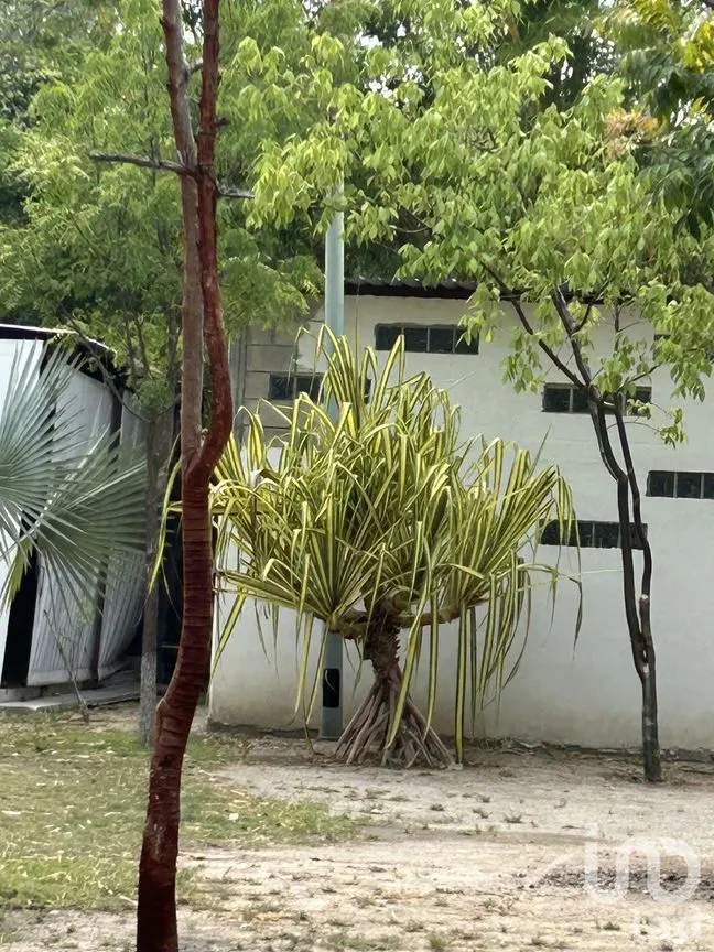 Oficina en Renta en Plan de Ayala, Tuxtla Gutiérrez, Chiapas | NEX-229743 | iad México | Foto 14 de 32