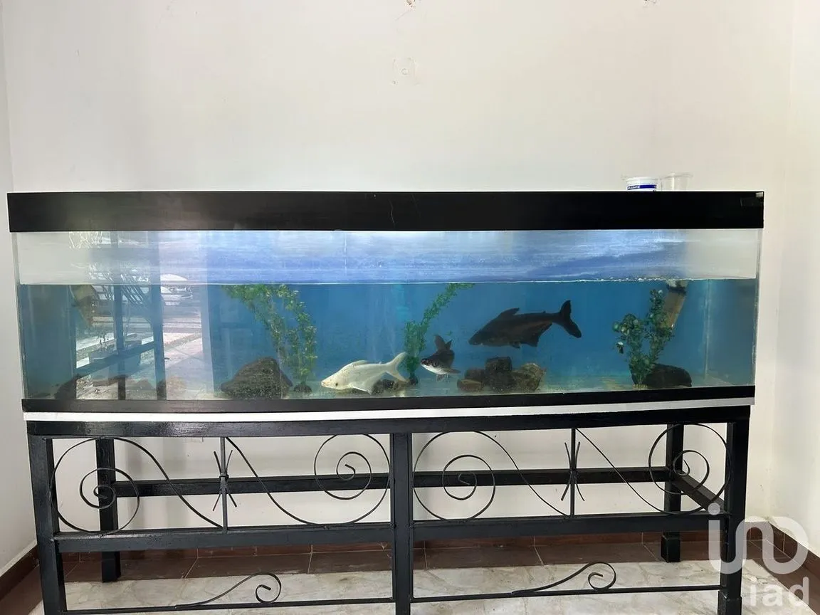 Oficina en Renta en Plan de Ayala, Tuxtla Gutiérrez, Chiapas | NEX-229743 | iad México | Foto 28 de 32